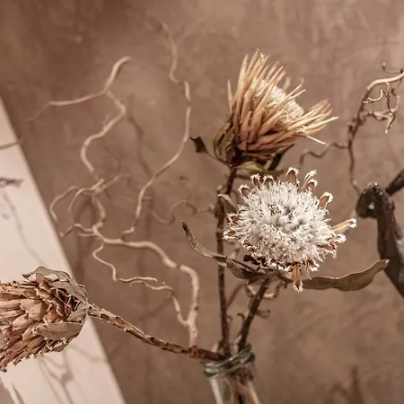 Gustls Ferienhaeusl Appartement *